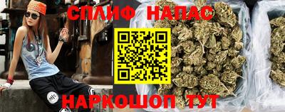стаф Будённовск