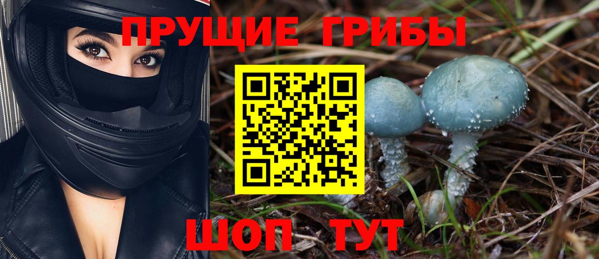 Псилоцибиновые грибы GOLDEN TEACHER Новосибирск